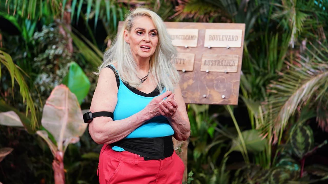 Contenace? Nä! Die Erlangerin Bea Fiedler wurde im Netz für ihre Sprüche bei "Ich bin ein Star - die große Dschungelshow" gefeiert. Bei der letzten Dschungelprüfung holte sie mal wieder keine Sterne und wurde aus der RTL-Sendung gewählt. Ihre Fans gingen online auf Twitter auf die Barrikaden: Sie wollen die 63-jährige Wahlfränkin unbedingt im Dschungelcamp 2022 sehen. Vielleicht ja zusammen mit Kontrahent Lars Tönsfeuerborn, der Fiedler fies als "abgehalfterten Schabrackentapir aus den 80ern" betitelte. Contenace? Nä! Die Erlangerin Bea Fiedler wurde im Netz für ihre Sprüche bei "Ich bin ein Star - die große Dschungelshow" gefeiert. Bei der letzten Dschungelprüfung holte sie mal wieder keine Sterne und wurde aus der RTL-Sendung gewählt. Ihre Fans gingen online auf Twitter auf die Barrikaden: Sie wollen die 63-jährige Wahlfränkin unbedingt im Dschungelcamp 2022 sehen. Vielleicht ja zusammen mit Kontrahent Lars Tönsfeuerborn, der Fiedler fies als "abgehalfterten Schabrackentapir aus den 80ern" betitelte.