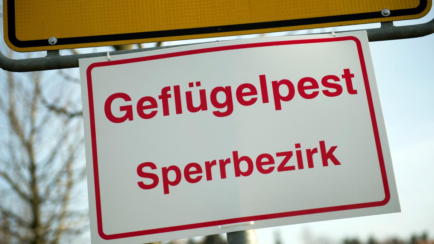 Im gesamten Landkreis Haßberge gilt ab dem 26. Januar unter anderem eine Stallpflicht für Geflügel.