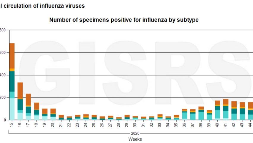 So ist es nicht. Auf der Seite der WHO lassen sich die zeitlichen Einstellungen anpassen, man kann in die Grafik und den Bereich ab April 2020 hereinzoomen. Dann zeigt sich: Ab April 2020 gab es deutlich weniger nachgewiesene Fälle als in den Sommermonaten der Vorjahre, auf Null ist der Nachweis von Grippeviren aber nicht abgefallen. Die WHO erklärt die niedrige Rate auch: Weltweite Lockdowns, Hygieneregeln und wegen der Corona-Pandemie insgesamt weniger Labor-Tests auf Grippe.