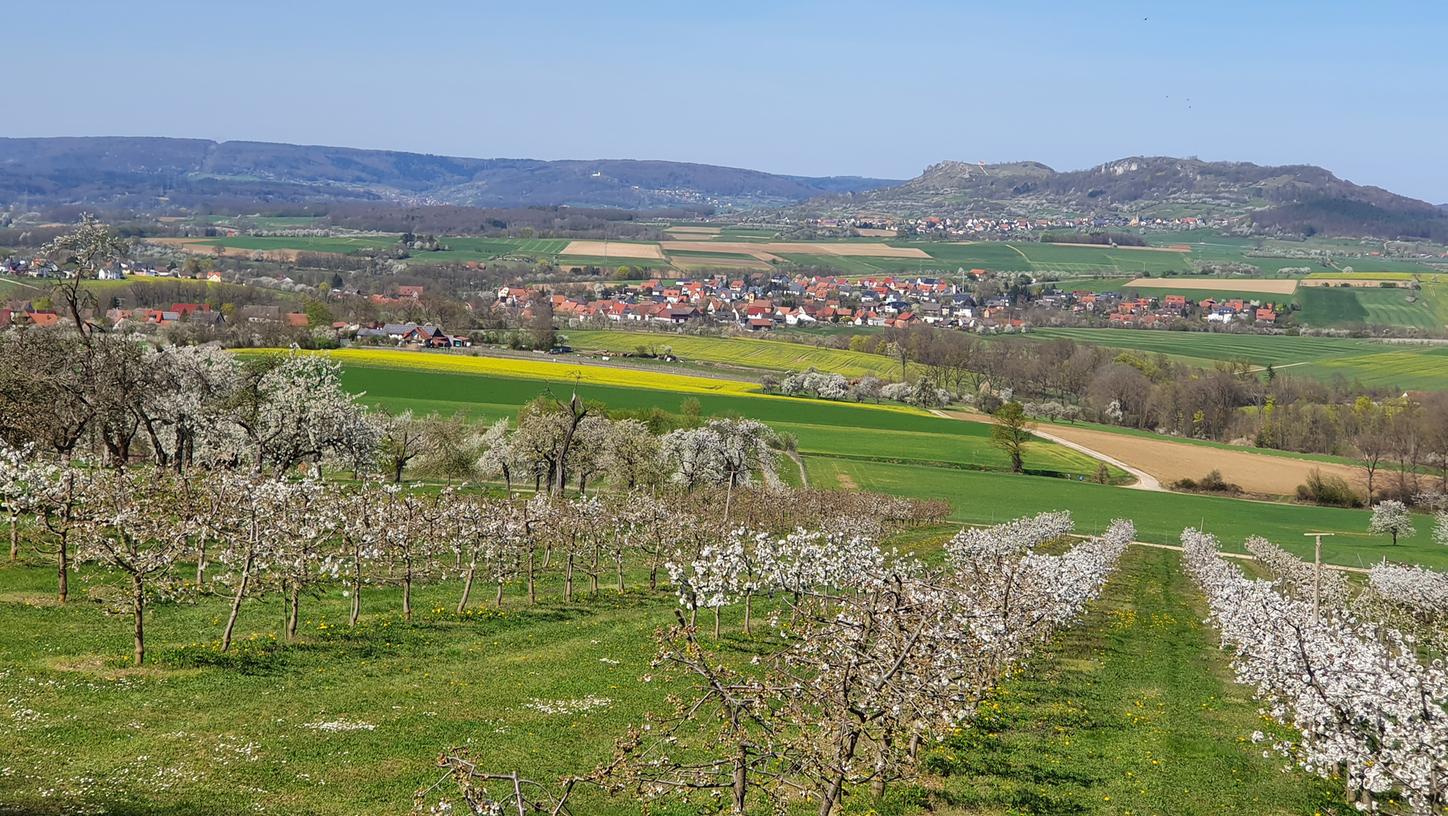 Das landwirtschaftliche Wegenetz im Landkreis Forchheim und der Fränkischen Schweiz soll neu gedacht werden.
Das landwirtschaftliche Wegenetz im Landkreis Forchheim und der Fränkischen Schweiz soll neu gedacht werden.