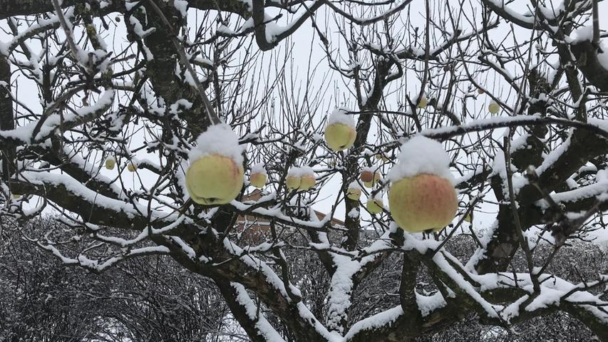 Sieht aus wie überzuckerte Äpfel, ist aber Schnee. 