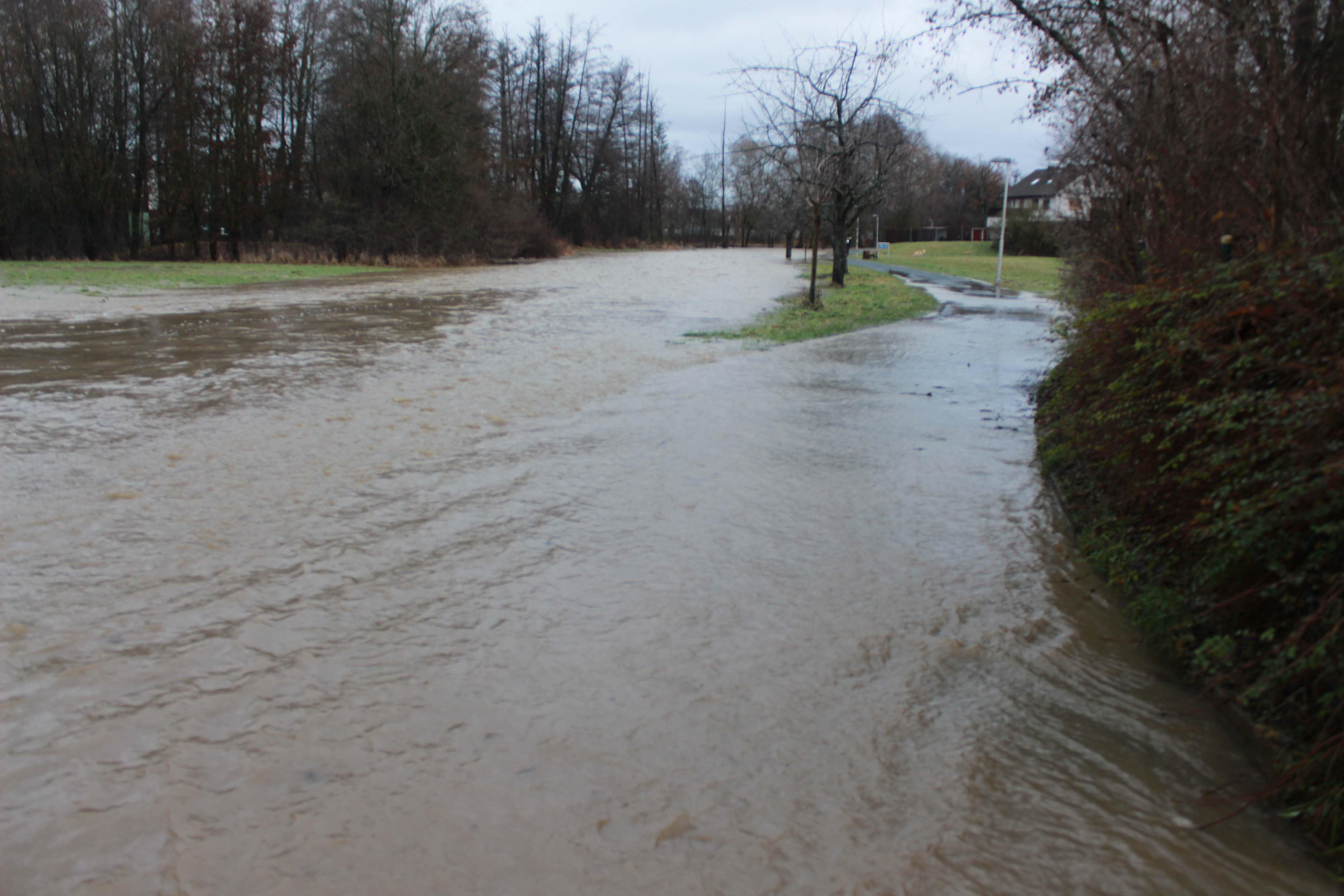 Steigende Temperaturen, Schneeschmelze und immer wieder Regen - die Folge dieser Kombination ist vielerorts Hochwasser. Auch in Franken stiegen in den letzten Stunden die Pegel.