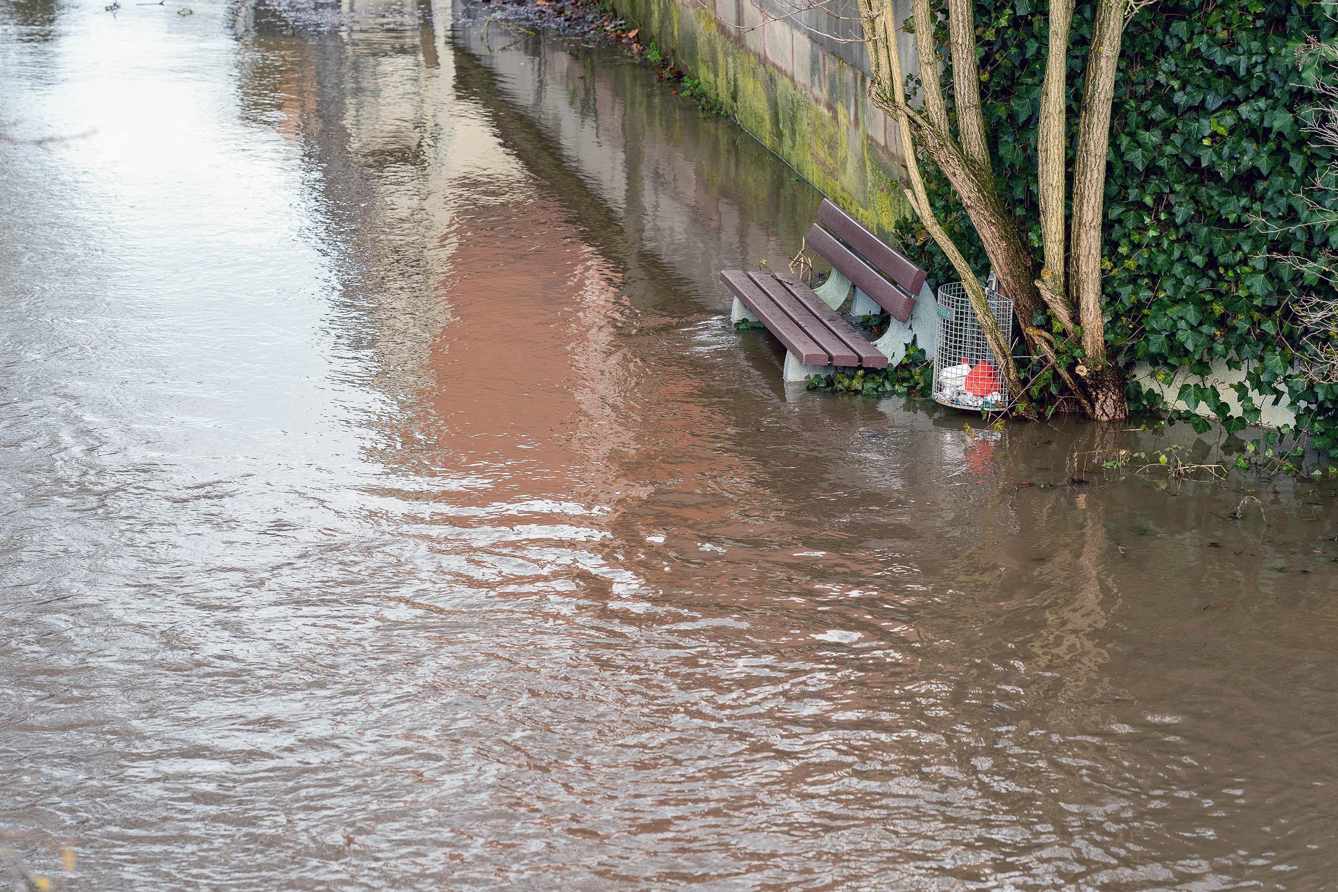Regen und Schneeschmelze haben die Flüsse und Bäche in Franken ansteigen lassen. So auch den Pegel der Schwarzach in Wendelstein, die stellenweise über die Ufer trat.