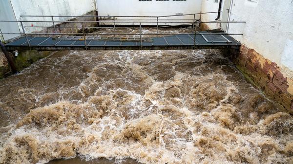 Regen und Schneeschmelze haben die Flüsse und Bäche in Franken ansteigen lassen. So auch den Pegel der Schwarzach in Wendelstein, die stellenweise über die Ufer trat.