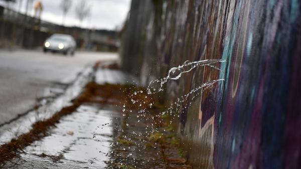 Nach Tauwetter und Regen treten auch im Landkreis Neumarkt Gewässer über die Ufer.