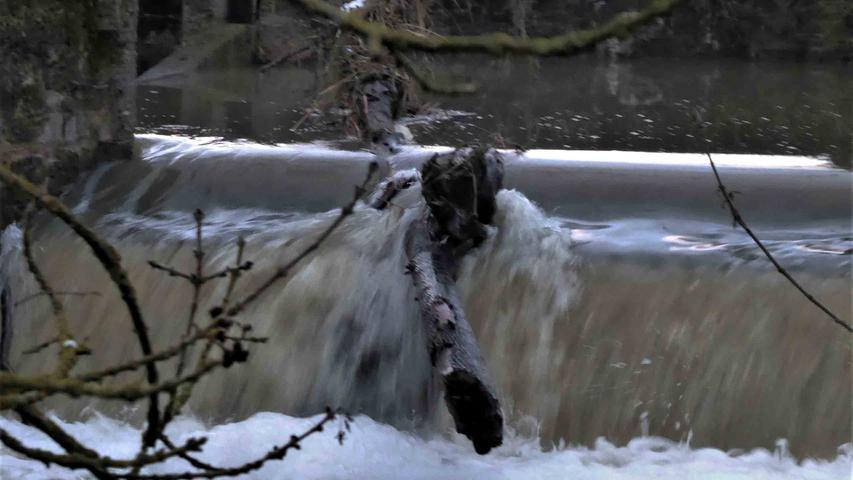 Störche, Enten, rauschendes Wasser: Hochwasserromantik im Aischtal