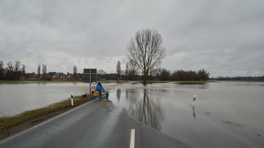Überflutete Talauen: Hochwasser in Fürth fasziniert die Spaziergänger