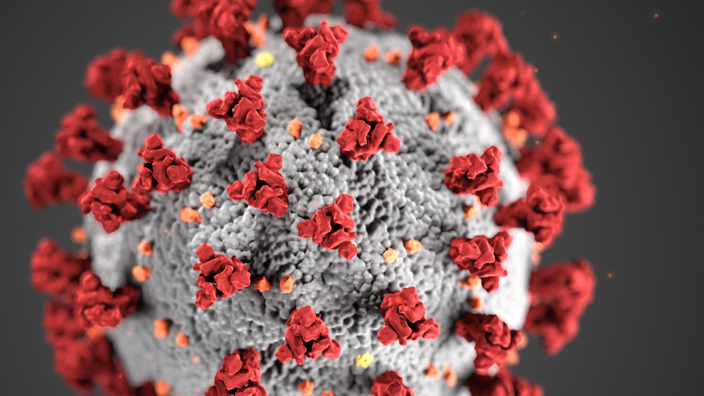 Diese Illustration, die in den Centers for Disease Control and Prevention (CDC) erstellt wurde, zeigt die ultrastrukturelle Morphologie, die Coronaviren aufweisen. 