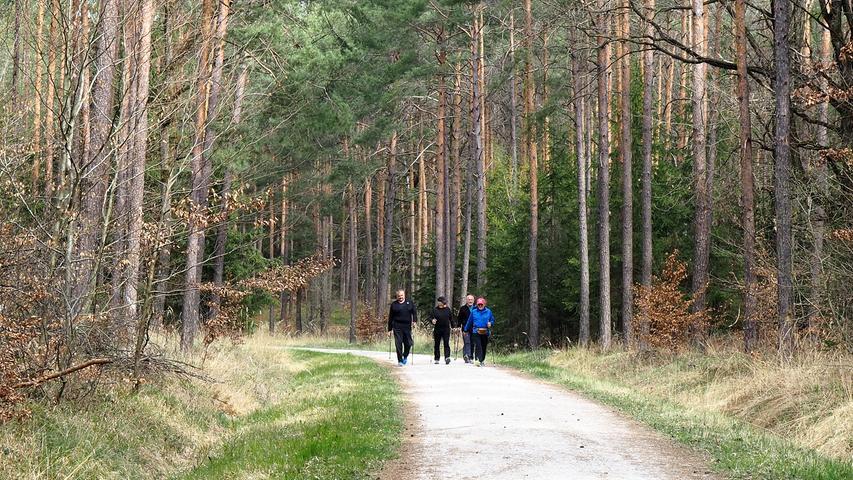 Klassischer Eindruck: Eine Gruppe von Walkern im Birkenbühl 2019. Seither strömen mancherorts vielköpfige Gruppen durch die Wälder. 