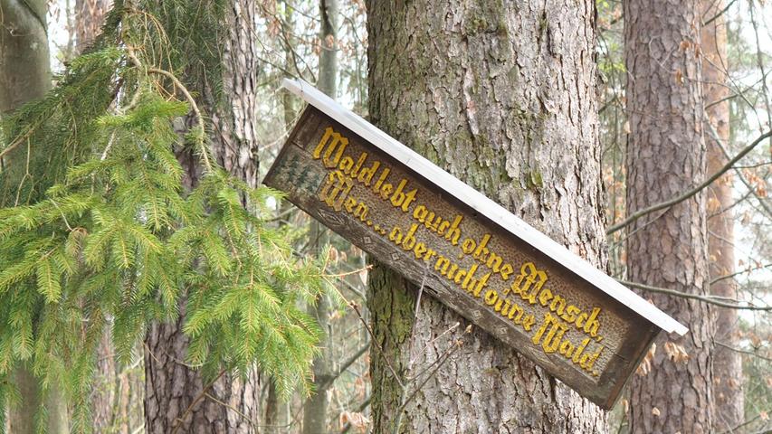Eine Weisheit, lange bekannt, als Erinnerungsspruch im Birkenbühl: "Wald lebt auch ohne Mensch, Mensch aber nicht ohne Wald." 