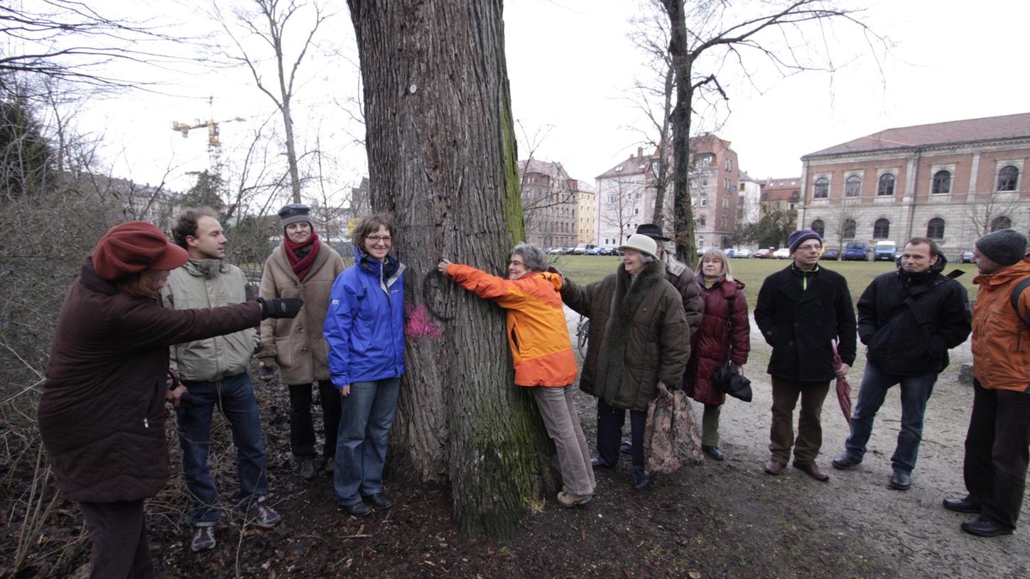 33 Bäume für  Colleggarten