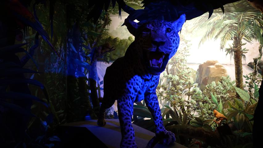 Typische Geräusche und ein Hauch von Live-Atmosphäre im Urwald Brasiliens: Das Schaustück des Museums mit dem Jaguar.  