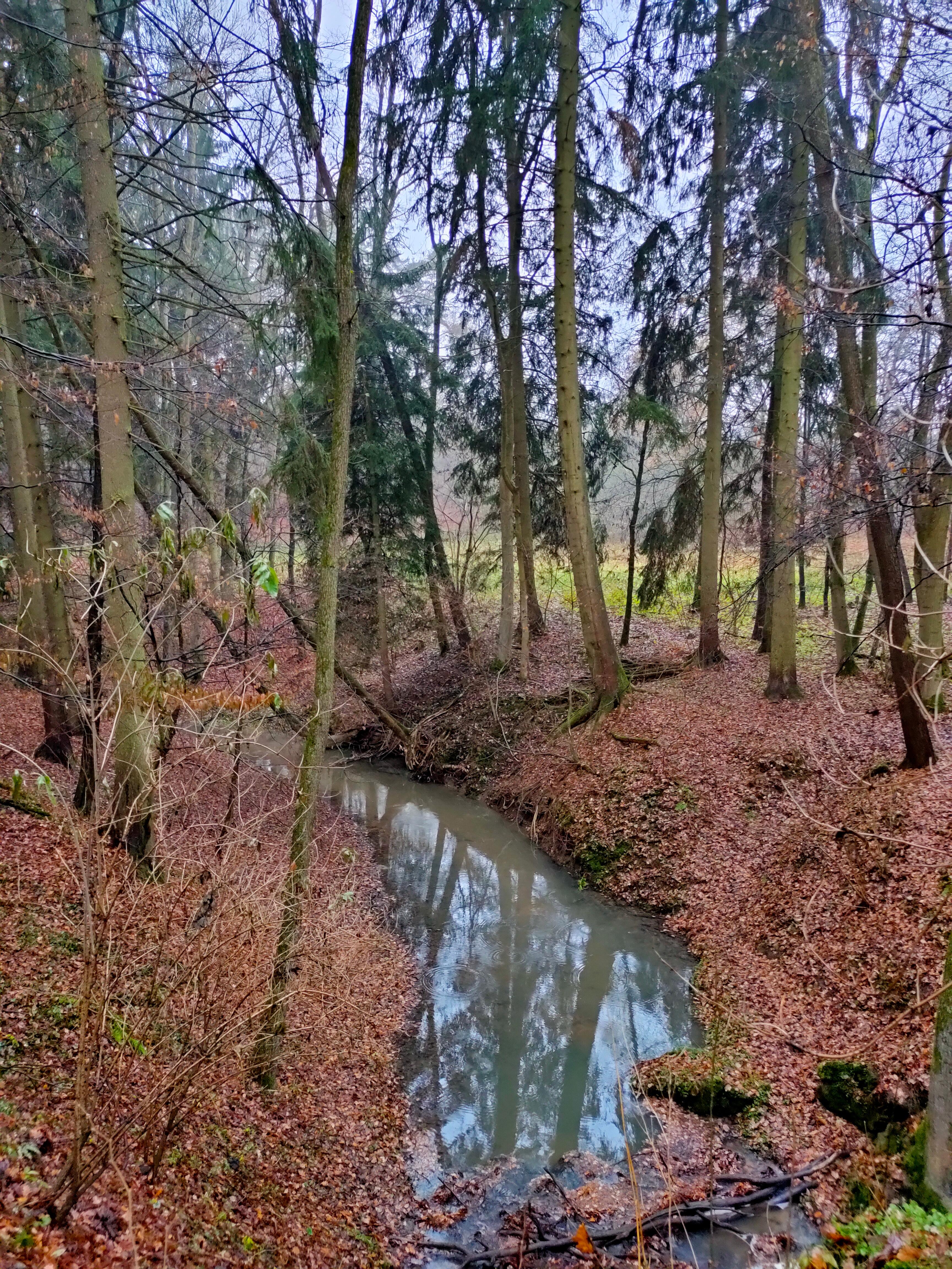 Jüngst haben Forscher herausgefunden, dass diese Terpene auch Killerzellen im menschlichen Immunsystem aktivieren und dieses wiederum stärkt.