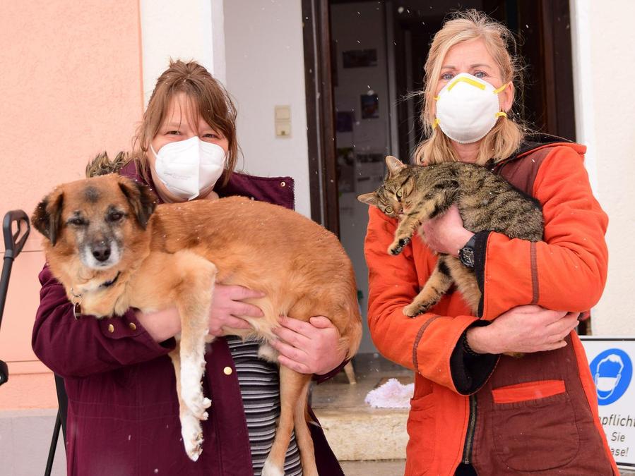 corona zeit ist haustier zeit so lauft s im dettenheimer tierheim treuchtlingen dettenheim nordbayern de