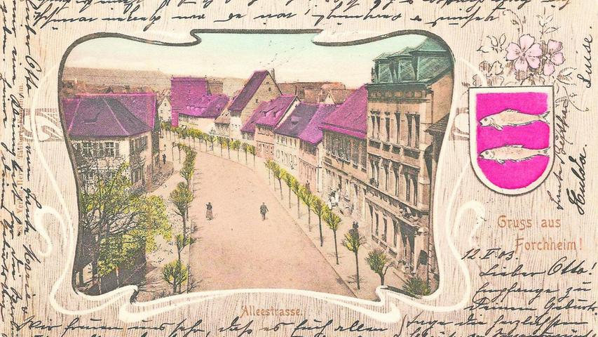 Diese alte Ansichtskarte zeigt die damalige Alleestraße, heute Hornschuchallee, in Forchheim. Im Haus Nummer 11 war das Schnittwaren-Geschäft von Moritz Moses Zeiller untergebracht.