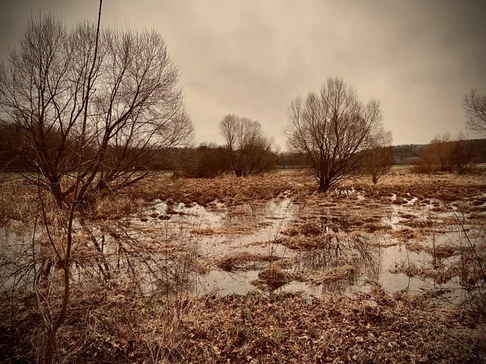 Gelber Himmel Verdreckte Autos So Wirkte Sich Der Sahara Staub In Der Region Aus Nurnberg Nordbayern De
