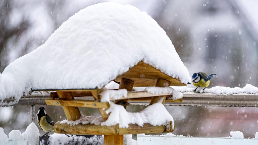 Wintereinbruch: Schneechaos bricht in Mitteldeutschland aus
