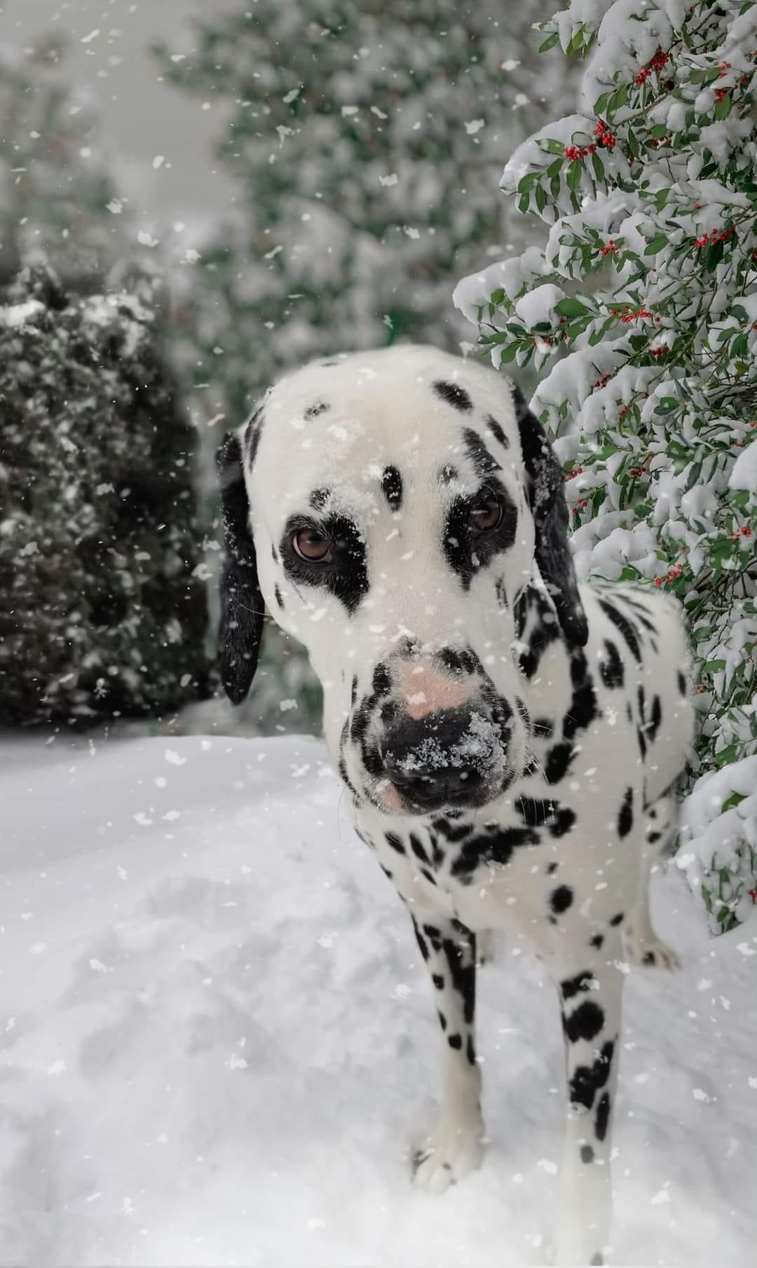 Angie Lodenkämper.jpg