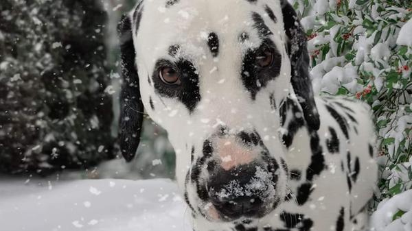 Angie Lodenkämper.jpg