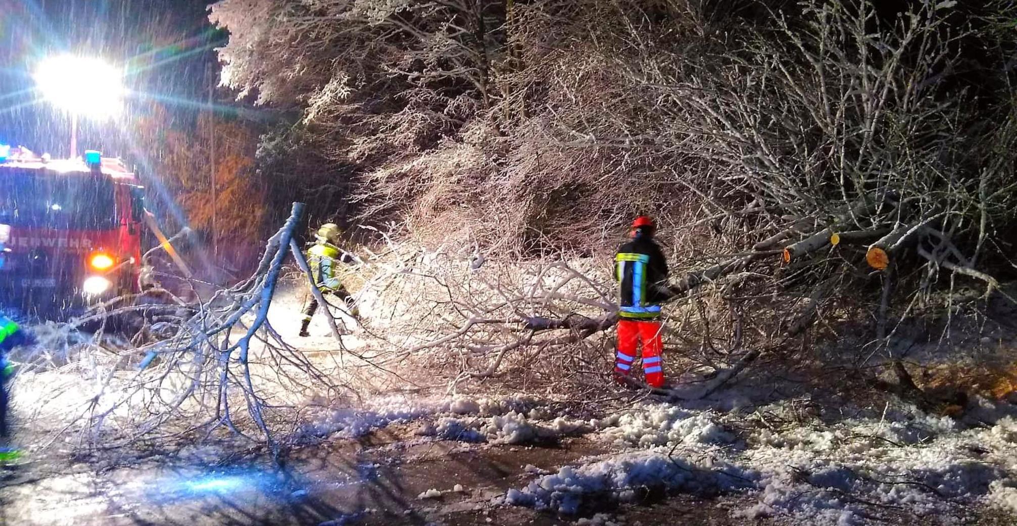 Schneebruch Treuchtlingen