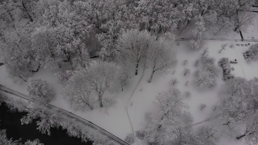 Spuren im Schnee: Der Spaziergang durch den Fürther Stadtpark wird zum besonderen Vergnügen, links im Bild ist das Ufer der Pegnitz zu sehen.
