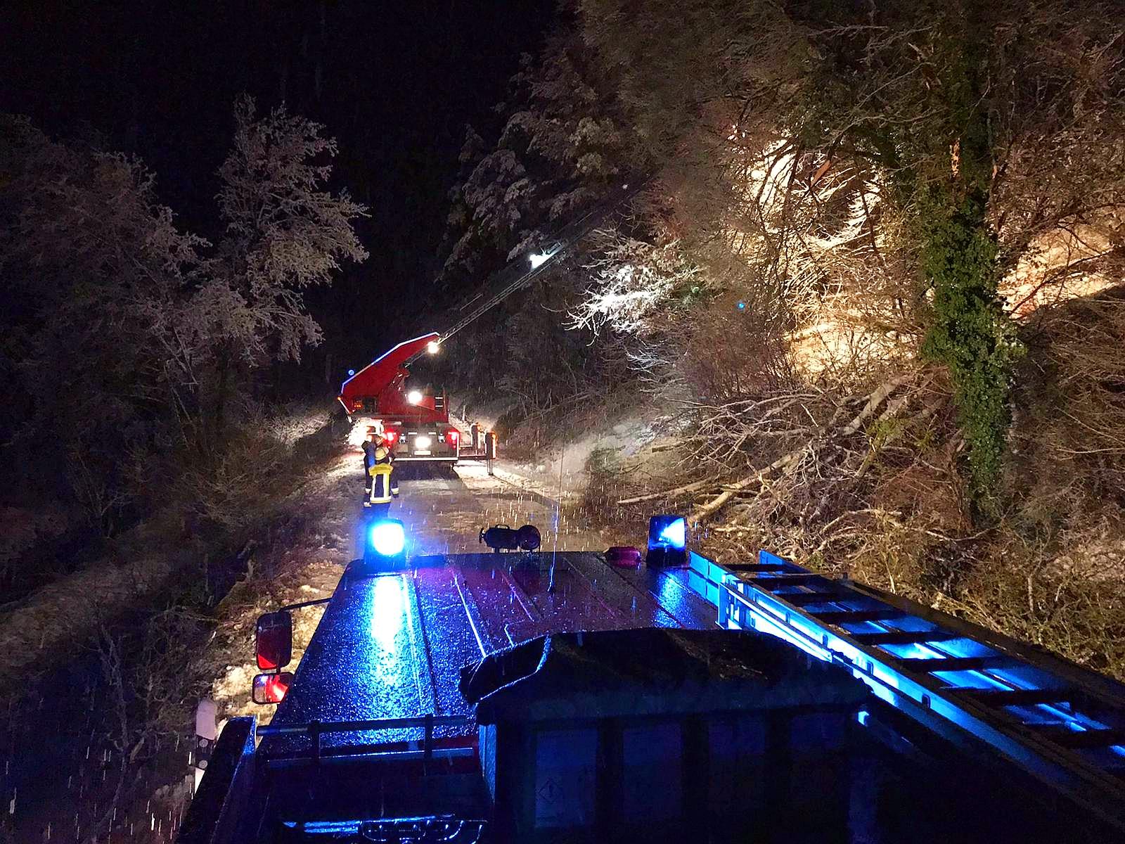 Schneebruch Treuchtlingen