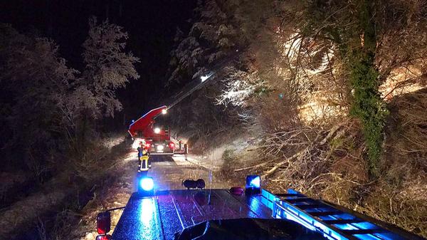 Schneebruch Treuchtlingen