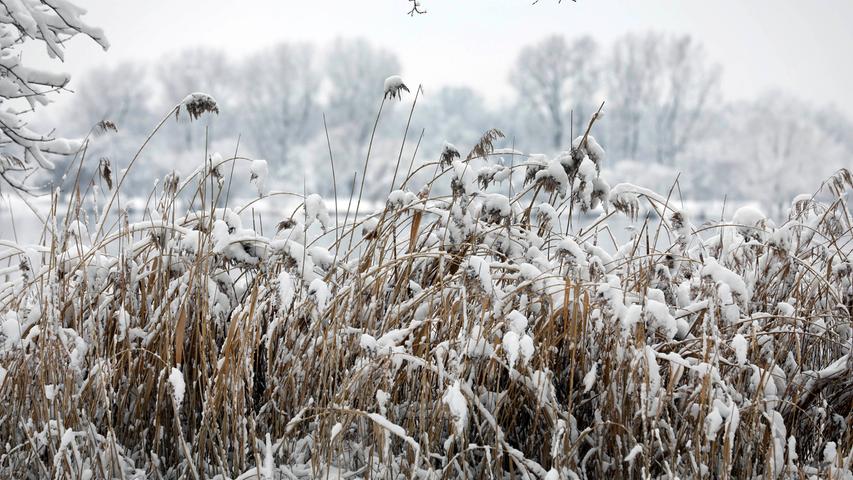 Kräftige Schneefälle verwandeln Nürnberg in ein Winter-Wonderland