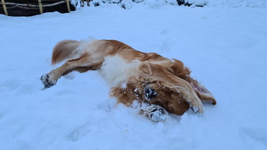 Ob es schneit oder nicht – Aimo spielt immer gerne!