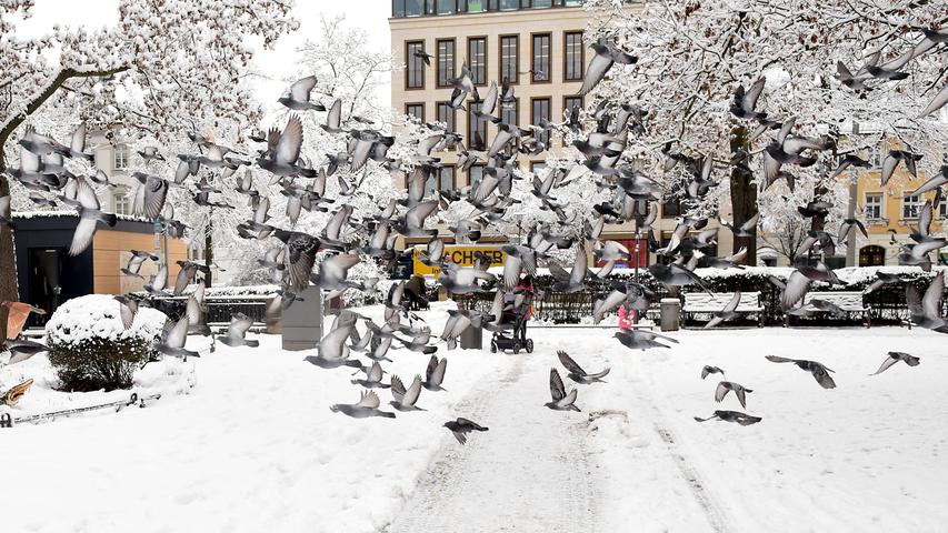 Wintermärchen: Schnee verzaubert Fürth