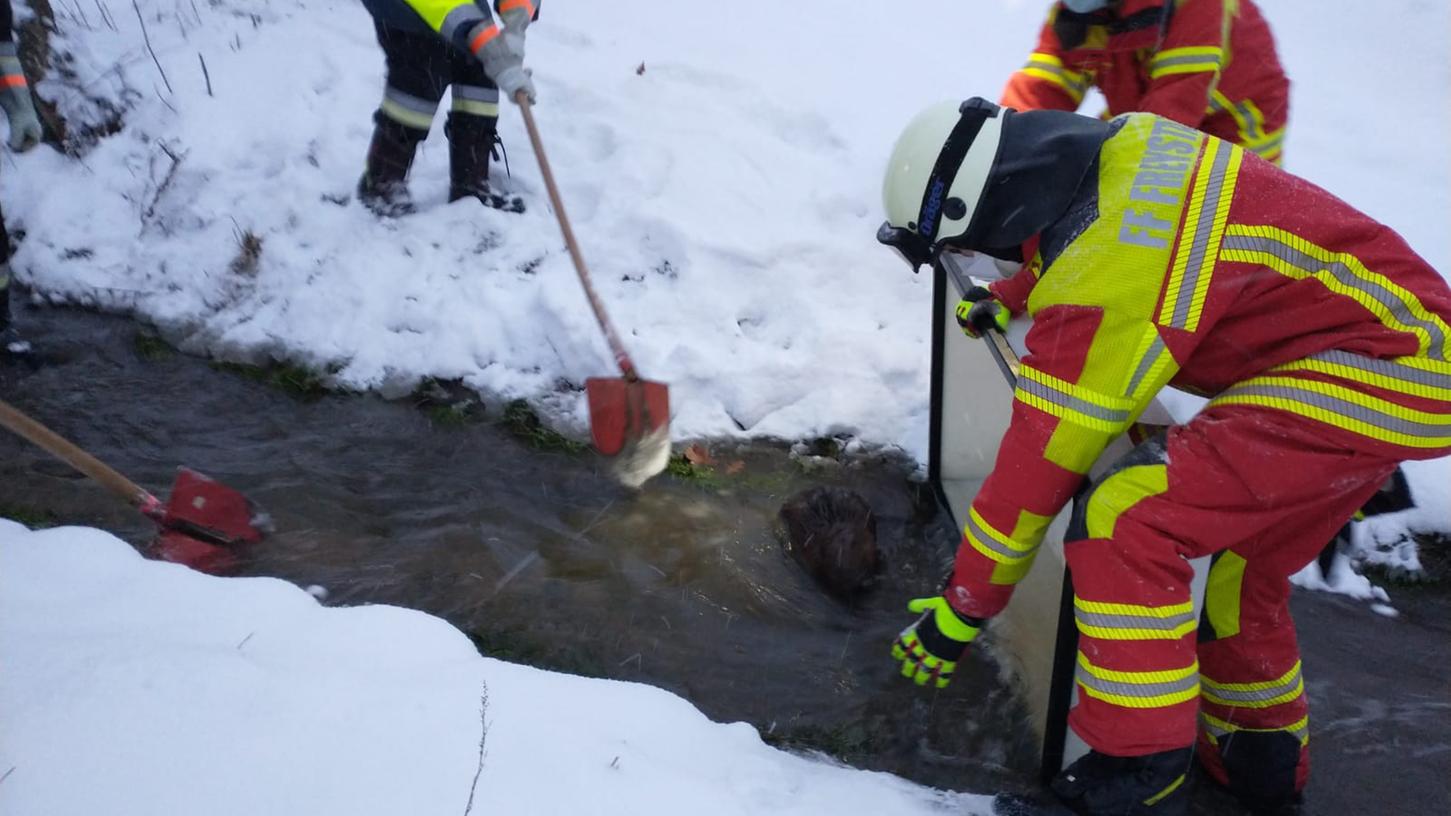 Freystädter Feuerwehr rettet verletzten Biber