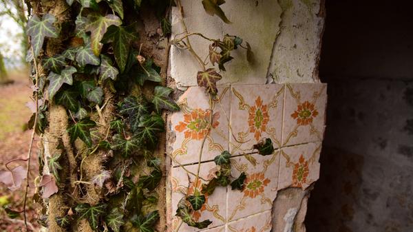 An einigen Stellen scheinen sie ziemlich sauber herausgebrochen worden zu sein. Ob sie wohl jemand mitgenommen hat ...?