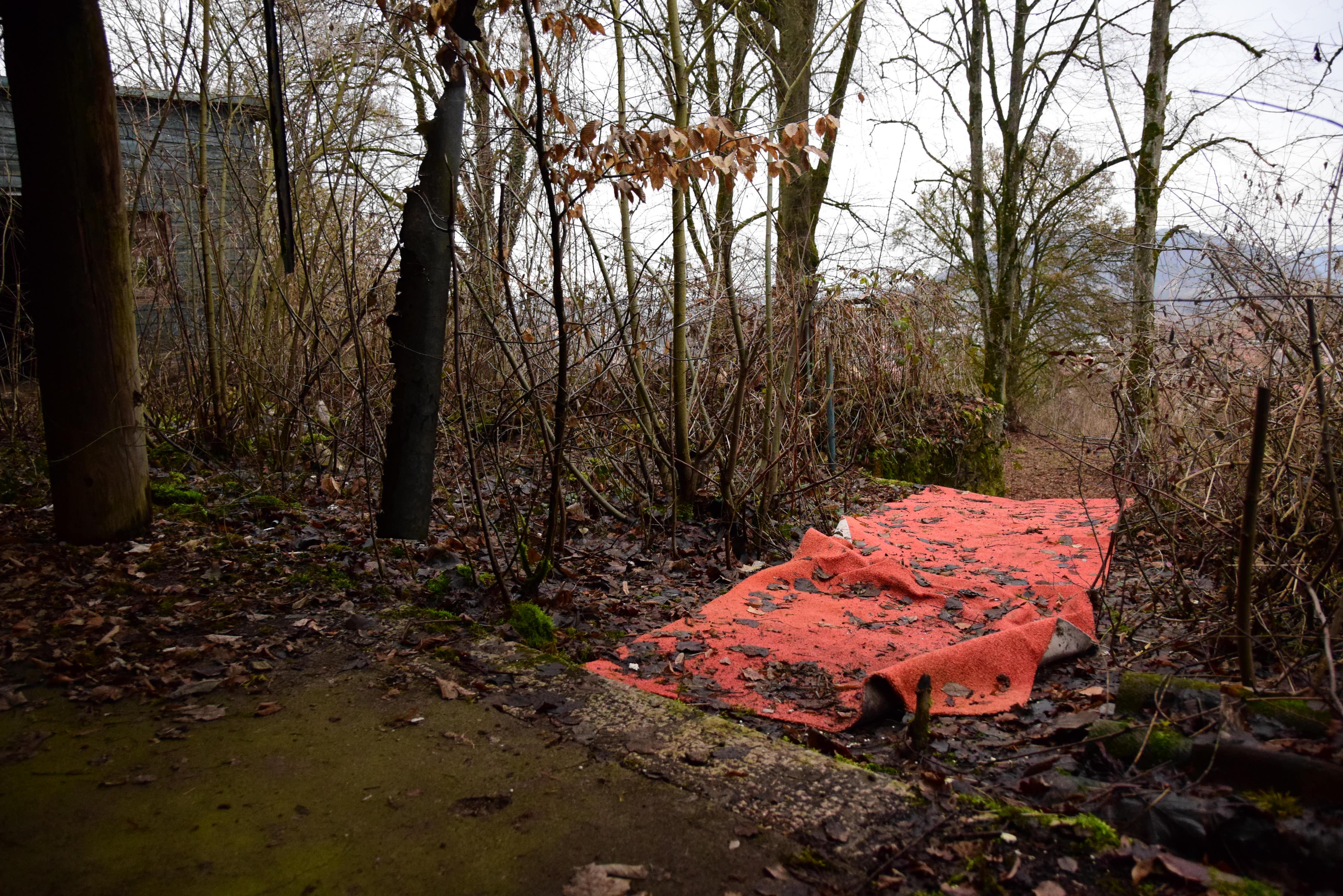 Über diese vermoosten Stufen betritt man einen zurückgelassenen roten Teppich, der etwas Feierliches an sich hat. Links neben dem eigentlichen Gebäude fällt es heute schon schwer, sich das Tanzparkett und einen Ausschank-Bereich vorzustellen. Stattdessen wachsen hier junge Bäume. 
