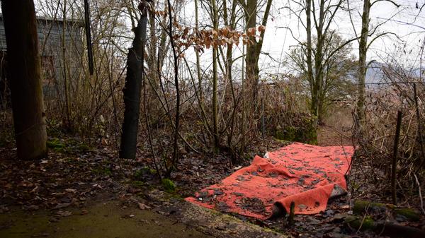 Über diese vermoosten Stufen betritt man einen zurückgelassenen roten Teppich, der etwas Feierliches an sich hat. Links neben dem eigentlichen Gebäude fällt es heute schon schwer, sich das Tanzparkett und einen Ausschank-Bereich vorzustellen. Stattdessen wachsen hier junge Bäume.