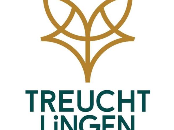 Ein abstrahierter Fuchs stellt im neuen Logo der Stadt Treuchtlingen die Verbindung zwischen dem historischen Stadtwappen und der gewünschten neuen Wahrnehmung als Natur- und Gesundheitsstadt her.