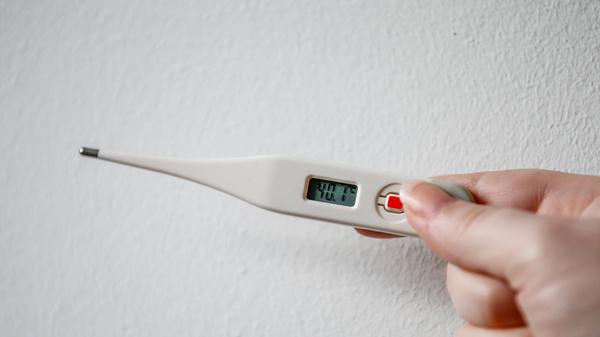 Derzeit der Verkaufsschlager im Gesundheitsbereich: Fieberthermometer. Sie wurden im Vergleich zum Vorjahreszeitraum im zweiten Lockdown dreizehn Mal häufiger aufgerufen.