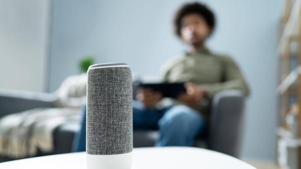 Deutlich mehr Suchanfragen gab es auch bei Smart-Lautsprechern: Es wurde eine Steigerung von 120 Prozent verzeichnet.