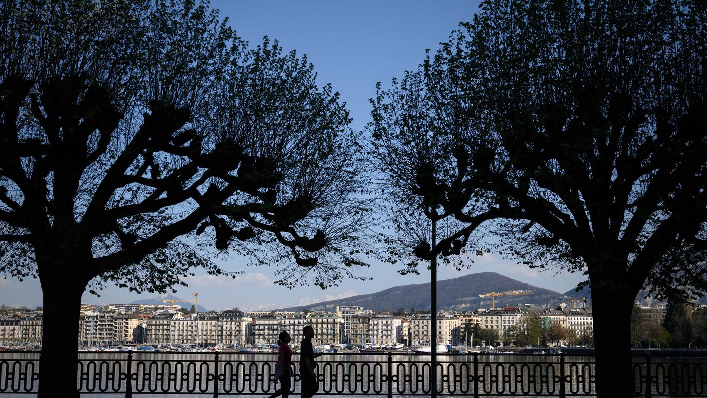 Genf hat an seiner Uferpromenade zum See hin einen stattlichen Baumbestand.