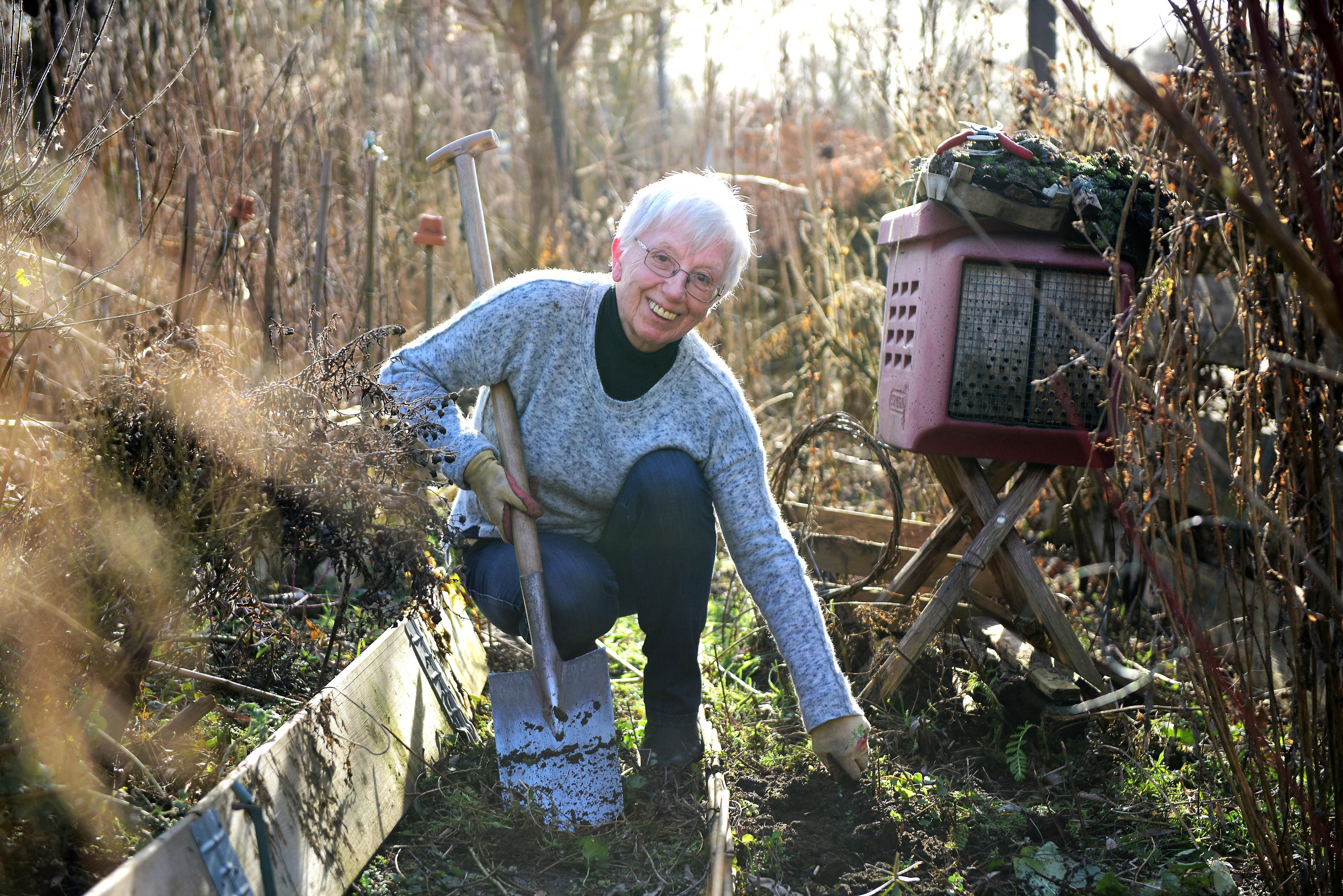 Marta Kareth sorgte in ihrer Parzelle im Interkulturellen Garten für Ordnung und entdeckte unterm Laub die ersten Krokusse.