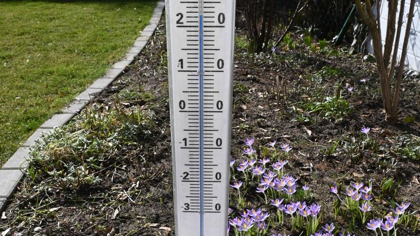 Sonne pur: So geht Frühling in Erlangen