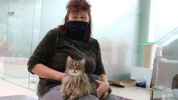 Tierheim und Tiere in der #Corona-Krise