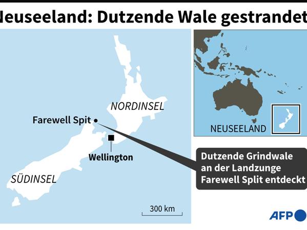 Dutzende Grindwale sind am Farewill Spit an der neuseeländischen Südinsel gestrandet.
