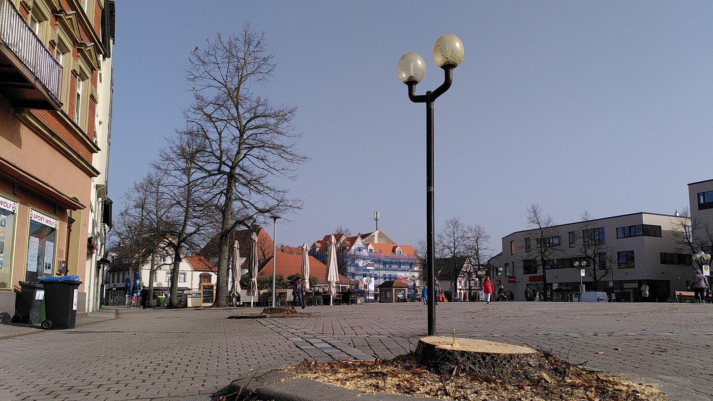 Baumstümpfe statt Linden: Die Stadt hat am Dienstagmorgen zwei Bäume auf dem Paradeplatz gefällt.