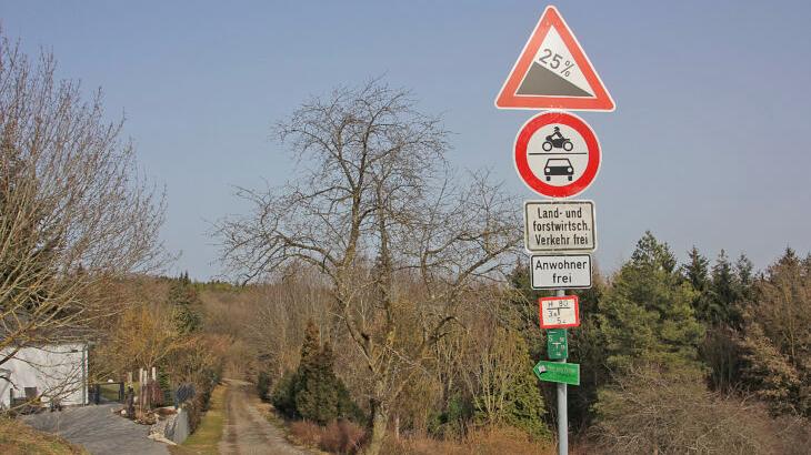 Der Waldweg am Dillberg führt zu dem steilen Hang, an dem das Ehepaar Meerz den vermissten 25-Jährigen fand. Tage zuvor hatten hunderte freiwilliger Helfer mit Suchhunden das Gebiet abgesucht - ohne Erfolg. Der Waldweg am Dillberg führt zu dem steilen Hang, an dem das Ehepaar Meerz den vermissten 25-Jährigen fand. Tage zuvor hatten hunderte freiwilliger Helfer mit Suchhunden das Gebiet abgesucht - ohne Erfolg.
