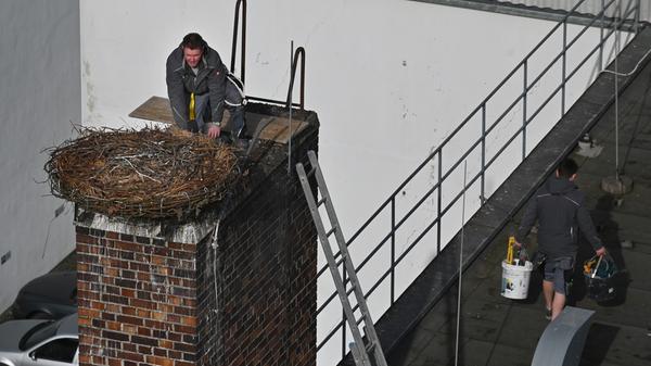 Das auf dem Kamin der ehemaligen Heka gebaute Storchennest war zu schmal und nicht geeignet, um Storchenjunge darin groß zu ziehen. Deshalb hat der Erlanger "Storchenvater" Michael Zimmermann dem Storchenpaar einen Unterbau für ein neues Nest konstruiert und bauen lassen.