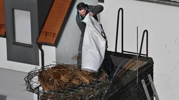 Das auf dem Kamin der ehemaligen Heka gebaute Storchennest war zu schmal und nicht geeignet, um Storchenjunge darin groß zu ziehen. Deshalb hat der Erlanger "Storchenvater" Michael Zimmermann dem Storchenpaar einen Unterbau für ein neues Nest konstruiert und bauen lassen.