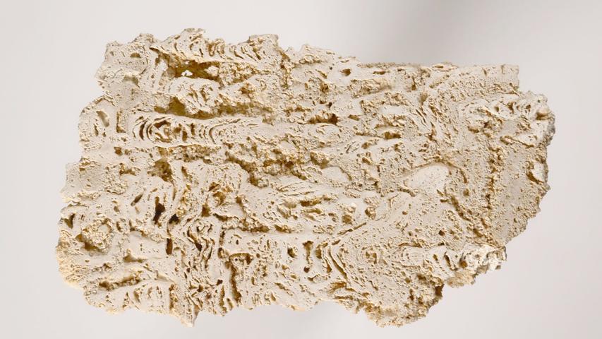 Im Rieskrater-Museum in Nördlingen können die Astronauten zum Beispiel solche biogenen Kalksteine aus dem Riessee sehen, der nach dem Asteroideneinschlag vor etwa 14,5 Millionen Jahren entstand und etwa zwei bis drei Millionen Jahre existierte, bevor er verlandete.
