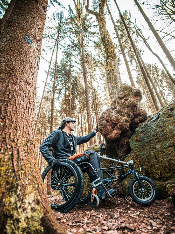 "Ein mystischer Ort, dieser Druidenhain", sagt Hermann und legt die Hand auf die Rinde eines Baumes, der aus einem Fels heraus zu wachsen scheint. 