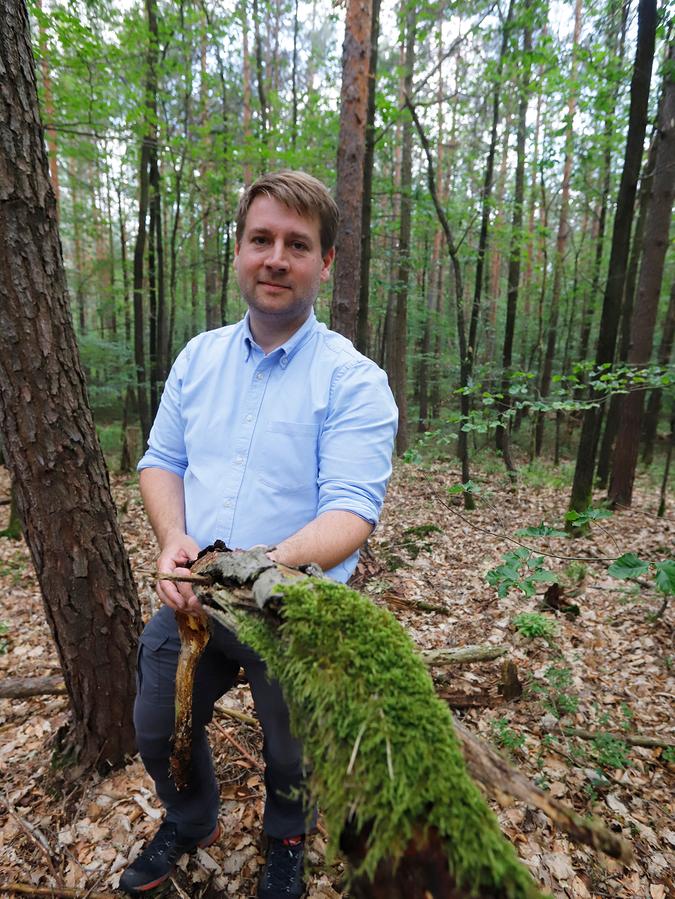 Johannes Wurm ist Forstbetriebsleiter der Bayerischen Staatsforsten in Nürnberg
Johannes Wurm ist Forstbetriebsleiter der Bayerischen Staatsforsten in Nürnberg