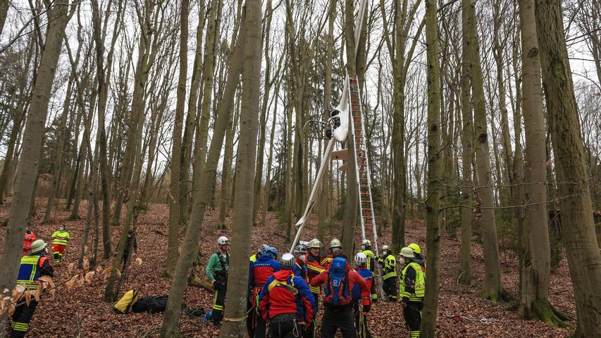 Flugunfall bei Ebermannstadt: Segelflieger blieb im Baum hängen